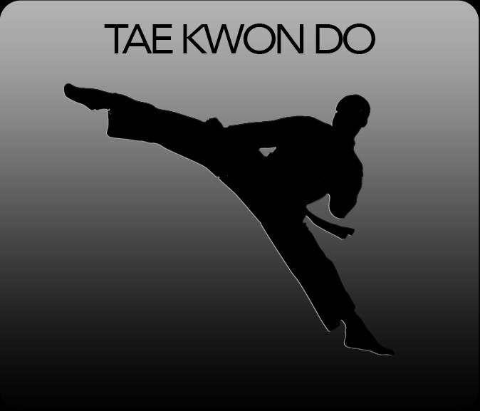 TAWKWONDO HOVER